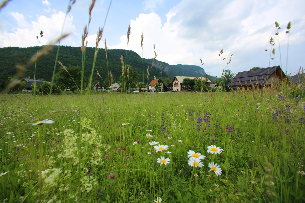 Hisa Pr'Pristavc Hotel Bohinj Buitenkant foto